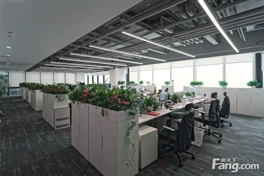内景图