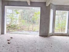 新牌坊 龙湖香樟林别墅 临湖独栋花园500平土建已做好急售!