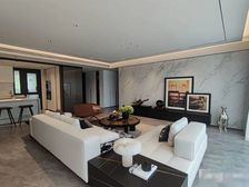 江北嘴,两江四岸核芯位置,龙湖江山颂,板式精装修小高层双轻轨