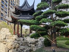 建发和玺 电梯入户大平层 双主卧套房7米大横厅 10米阳台