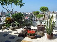 出国急售!低于小区同户型100w|高区景观|附赠产权车位!!