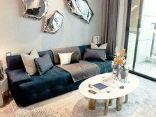 内部价 看海 与深一桥之隔,现房 精装三房,性价比超高!