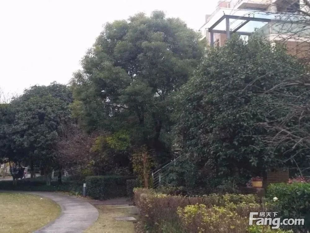 小区相关图