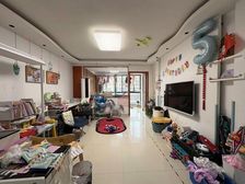 金碧汇虹苑 南向采光好 低密宜居 带电梯 刚需两居 精装修