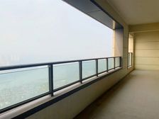 礼嘉天街旁,金海湾公园,一线看江大平层