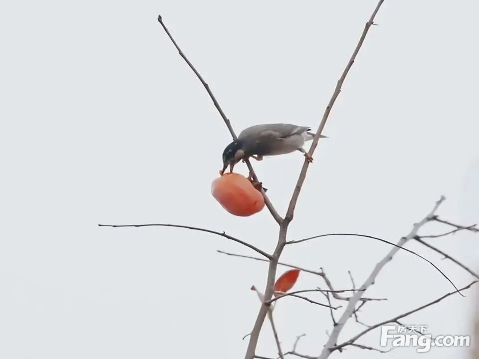 室内图