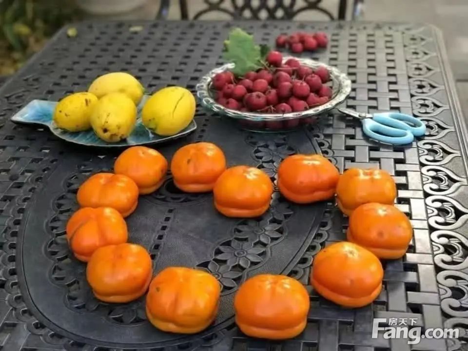 室内图