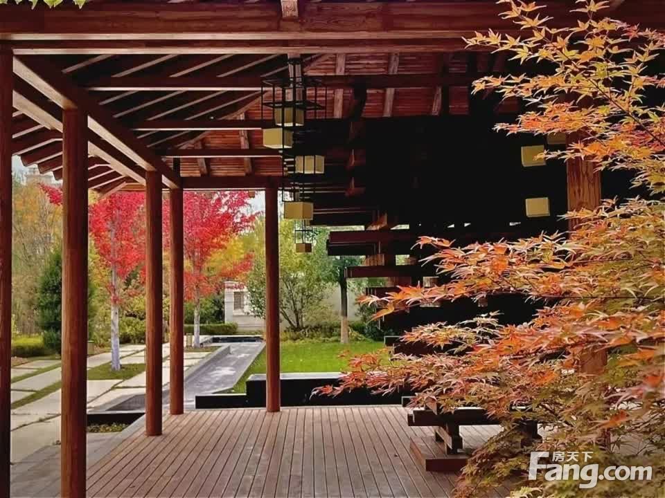 室内图