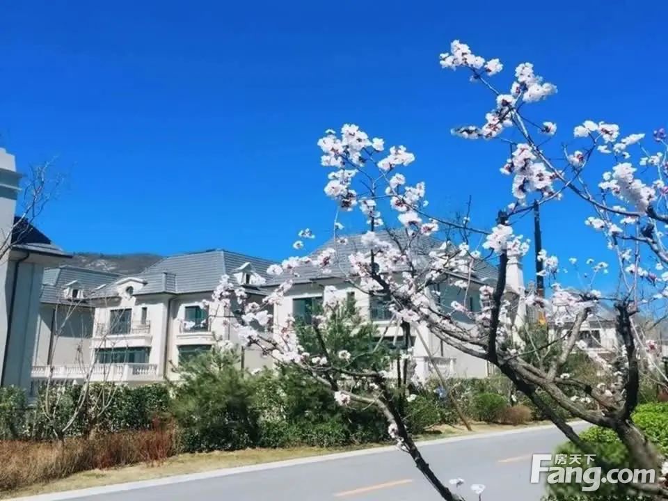 小区相关图