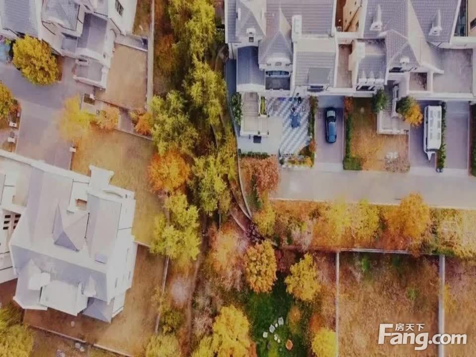室内图