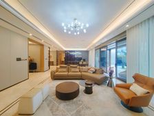 99成新 C位真正大平层 花园400平 无房产税 2个车位