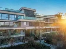 (工抵直降50万+)叠拼别墅现房,实得185平,巴S小+8中