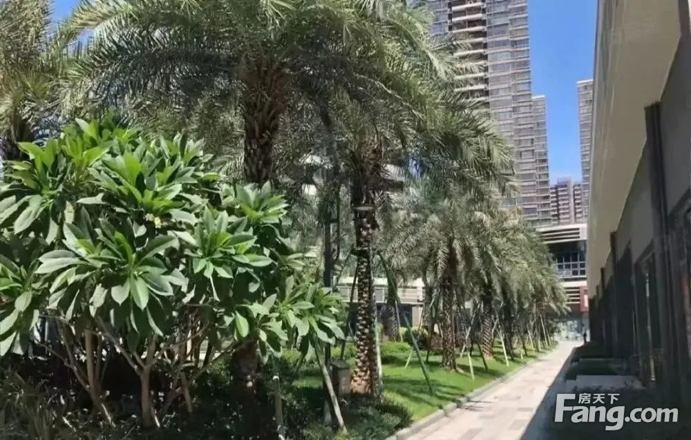 房源图片