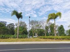 工抵房出售 价格可议 整个金融岛捡漏一套房 欢迎咨询 随时看