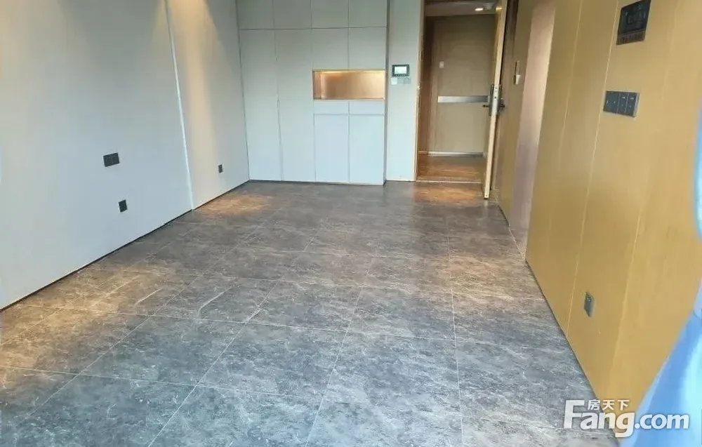 会展湾南岸(商住楼)正规1居3300.00南北朝向随