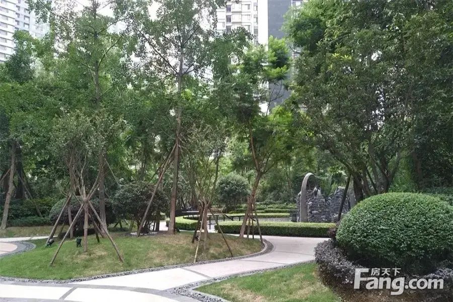 小区相关图