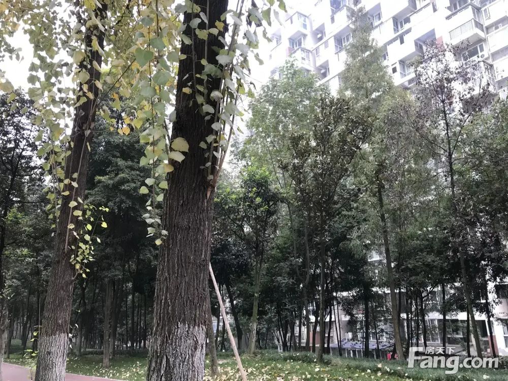 小区相关图
