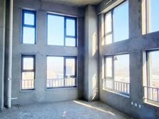 有整层的,可办公可当会所 现房loft办公自住,紧邻地铁