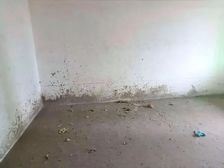 运河城 交通便利 医疗配套成熟 刚需两居 南向采光好