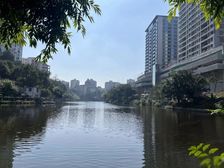 渝北汽博 一线湖景小高层 视野开阔 15号线轻轨800米