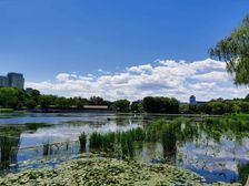 西二环 积水潭 西直门 车公庄 百万庄 50平80平100平