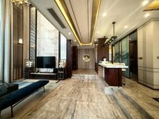 438平朝南别墅,带大花园 私家车库 采光很好,