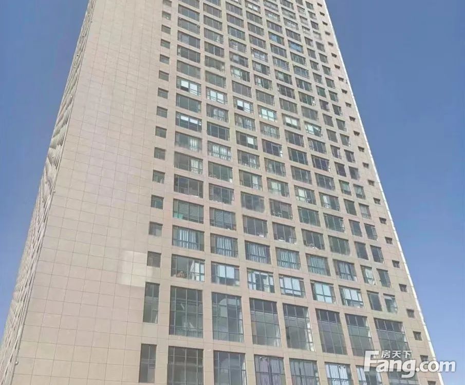 平面图