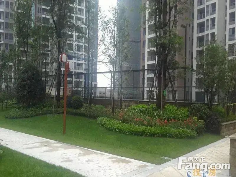 小区相关图