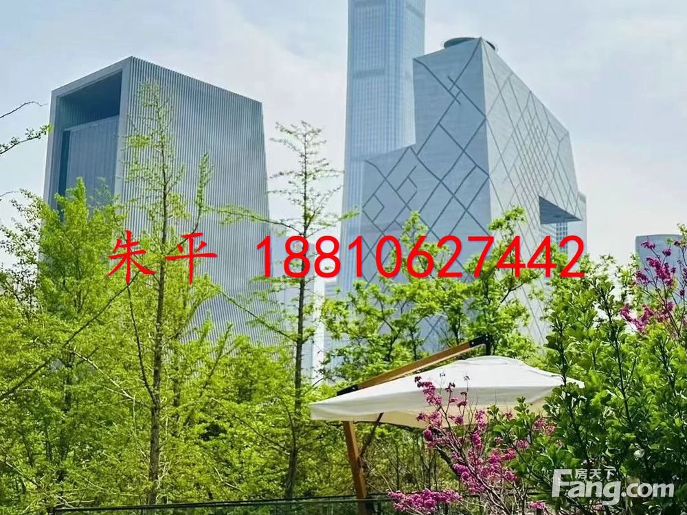 内景图