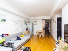 新出龙湖两房 遥望佘山 近宝龙广场