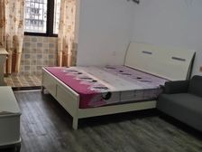 星都花园 离校200米不过马路 装修清爽 拎包入住28年可用