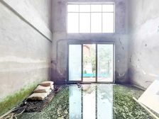 招商观园单证别墅,使用面积1000—1500平,带大私家花园