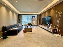 亏本40万 九龙湖豪宅洋房 改造费40多万 带车位诚意卖