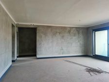 九棠府超大四房,看河洋房,业主眼睛水都包不住的价格!