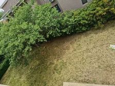急急急!真图实.价!碧水一期独栋别墅,院400平.毛坯房。