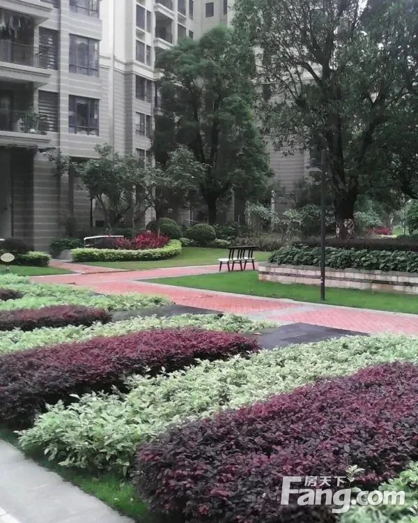 小区相关图