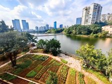 一线临湖独栋别墅,棕榈泉的生活品质,你 得拥有