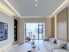 龙阳路CBD 小区中间精装大三房,层高3.1米 南北通透