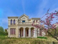 圣堡别墅 新出好房 纯毛坯房 可改造 全套房设计 赠送空间多