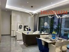 外地人可买 地铁口 来电享折扣95折 送家私电器带车位