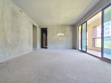 奥园广场旁 横厅四房洋房 急售 岗