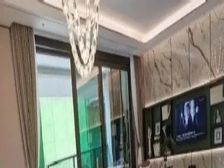 光谷核心 新希望 下叠 超大院子 地下负两层 带采光井