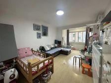 徐汇滨江西岸旁,双南精装两房,业主已买诚意出售,满五年。