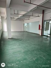 番禺沙头街成熟商圈143方物业直租,适合服装展厅,电商办公