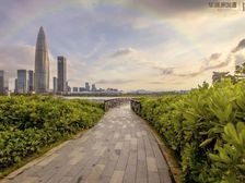 新出|深圳湾头排海景大平层|亏本900万|急售|高层即买即住