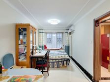 海棠苑 北辛安 位置好采光视野好 看房方便