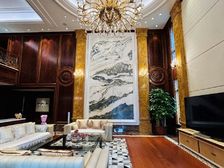 新出|纯水岸临湖双拼别墅|急售|1100平花园实用3200平