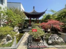 安度晚年 世外江南(别墅) 中式园林装修 大庭院