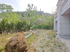 黄金山水郡八区(别墅) 带南北院子150平以上 四家车库小房