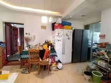 楼梯房 满五 55平 浦发绿城 1室1厅 楼层好 视野无遮挡